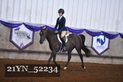 21YN_52234 thumbnail