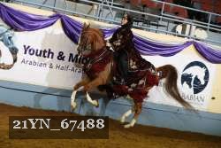 21YN_67488 thumbnail