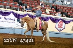 21YN_47421 thumbnail