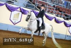 21YN_61816 thumbnail