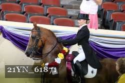 21YN_61871 thumbnail