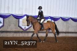 21YN_52377 thumbnail