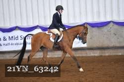 21YN_63242 thumbnail