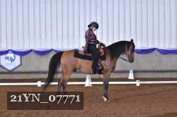 21YN_07771 thumbnail