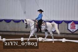 21YN_07803 thumbnail