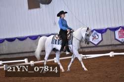 21YN_07814 thumbnail