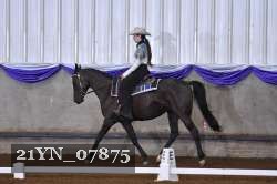 21YN_07875 thumbnail