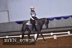 21YN_07878 thumbnail