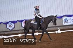 21YN_07879 thumbnail