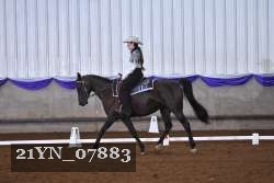 21YN_07883 thumbnail