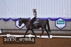 21YN_07884 thumbnail