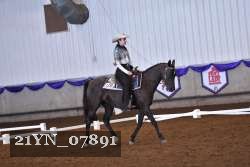 21YN_07891 thumbnail