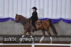 21YN_07897 thumbnail