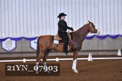21YN_07903 thumbnail