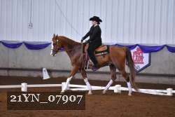 21YN_07907 thumbnail