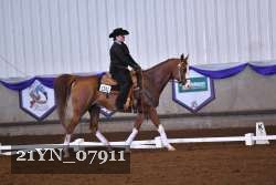 21YN_07911 thumbnail