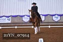 21YN_07914 thumbnail