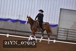 21YN_07915 thumbnail