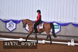 21YN_07971 thumbnail
