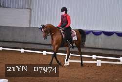 21YN_07974 thumbnail