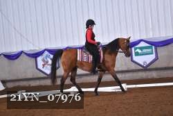 21YN_07976 thumbnail