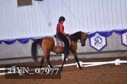 21YN_07977 thumbnail
