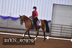 21YN_07979 thumbnail