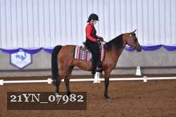 21YN_07982 thumbnail