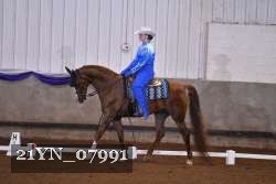 21YN_07991 thumbnail