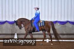 21YN_07993 thumbnail