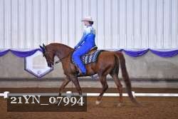 21YN_07994 thumbnail