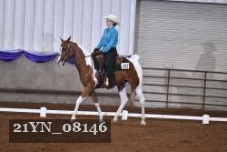 21YN_08146 thumbnail