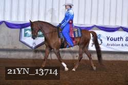 21YN_13714 thumbnail
