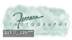 21YN_12677 thumbnail