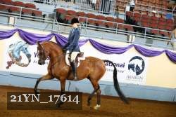 21YN_17614 thumbnail