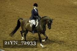 21YN_72933 thumbnail