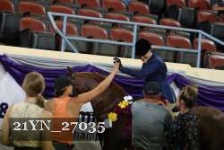 21YN_27035 thumbnail