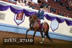 21YN_27110 thumbnail