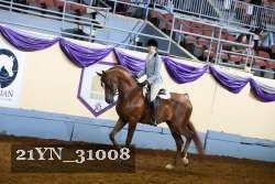 21YN_31008 thumbnail