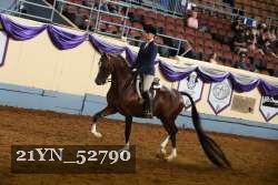 21YN_52790 thumbnail