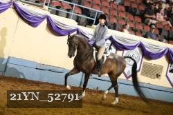 21YN_52791 thumbnail