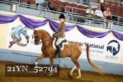 21YN_52794 thumbnail
