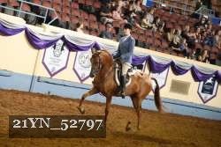 21YN_52797 thumbnail
