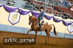 21YN_52798 thumbnail
