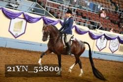 21YN_52800 thumbnail