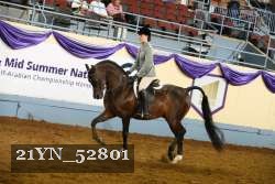 21YN_52801 thumbnail