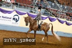 21YN_52802 thumbnail