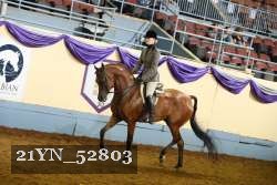 21YN_52803 thumbnail