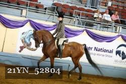 21YN_52804 thumbnail