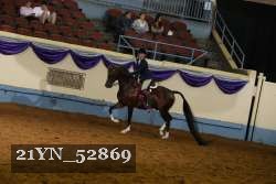 21YN_52869 thumbnail